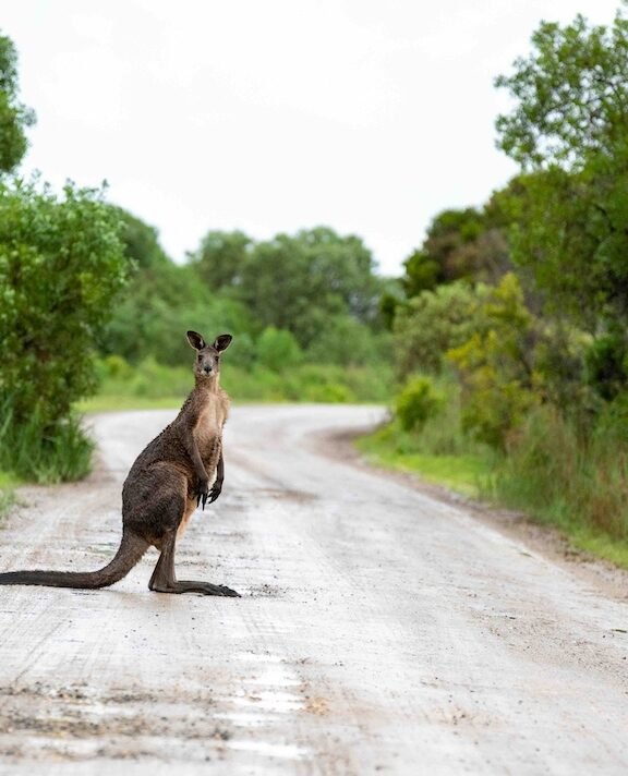 Work and Travel in Australien – wie finde ich einen Job?