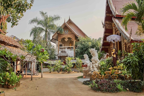 Meine Top Sehenswürdigkeiten in Chiang Mai