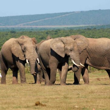 Warum ich seit 4 Jahren keinen Fernseher mehr besitze