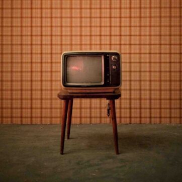 Looking for Timon & Pumbaa – Addo Elephant National Park