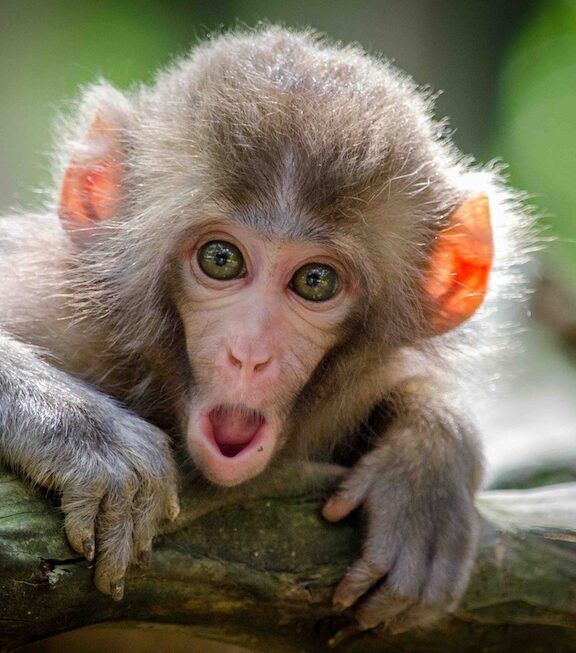 Eigenkultur-Schock – Hilfe! Ich komme in der Heimat nicht mehr klar