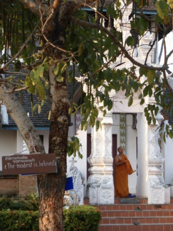 6 Tage Vipassana Meditation – Willkommen im Irrenhaus!