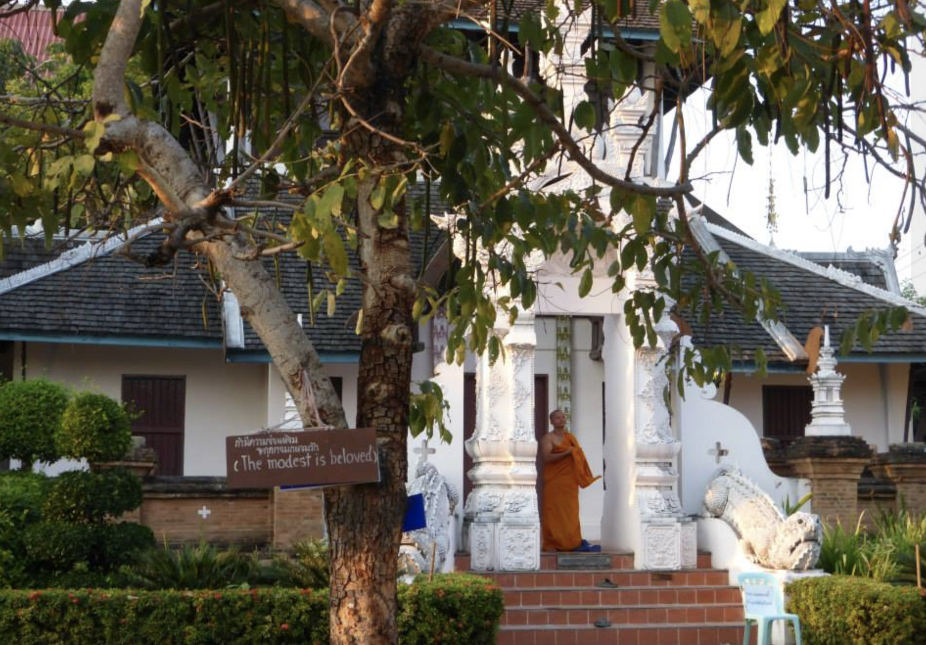 Vipassana Meditation Erfahrung