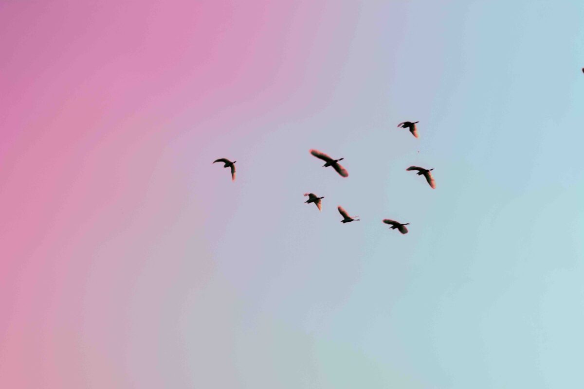 Religion, Politik und Freiheitsverlust