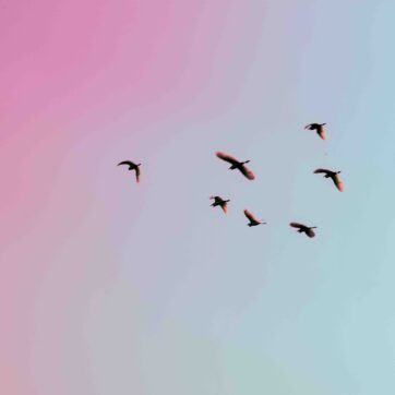 Meine Ziele für 2015