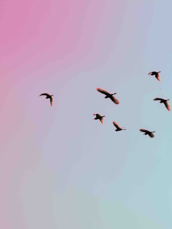 Religion, Politik und Freiheitsverlust