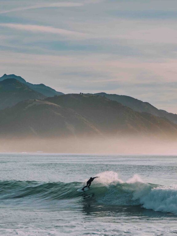Surfer, Wellen, tote Fische und Lebenskrisen