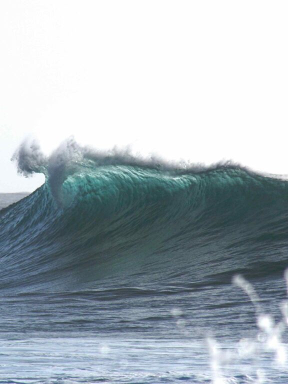 Wir ernten was wir säen