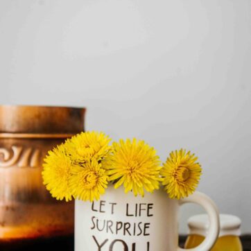 Die letzten zwei Monate & warum ich fast wahnsinnig wurde