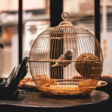 Was im Leben wirklich zählt