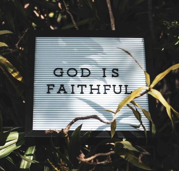 Heilung dank Kambô-Froschmedizin