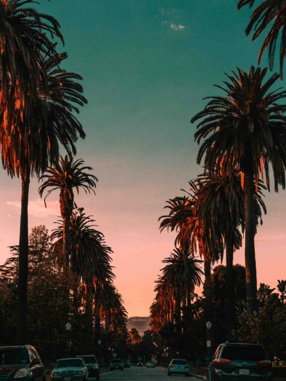 Freiheit, Surf und Sonnenschein in Kalifornien