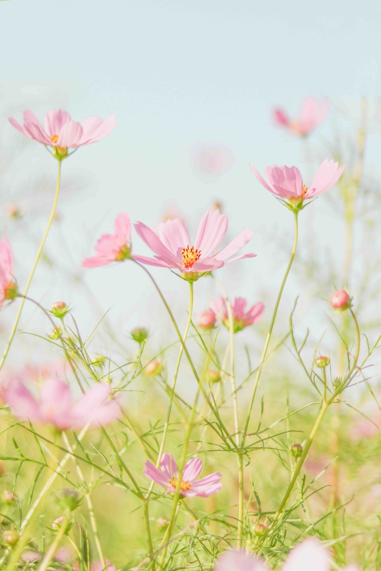 Willkommen im neuen Leben: Wenn alles wieder erwacht und sich verändert