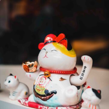 Wenn ein Narzisst in dein Leben tritt…