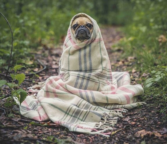 Gesund durch den Winter – diese Fehler solltest du vermeiden