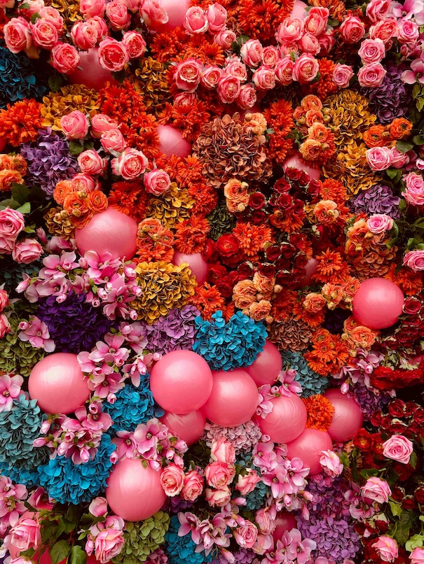 Was bedeutet es in Fülle zu leben?