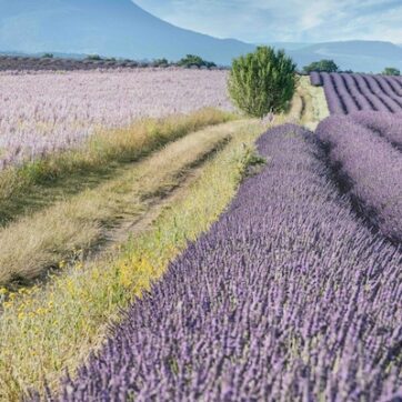 Nachhaltigkeit durch Second Hand Kleidung?