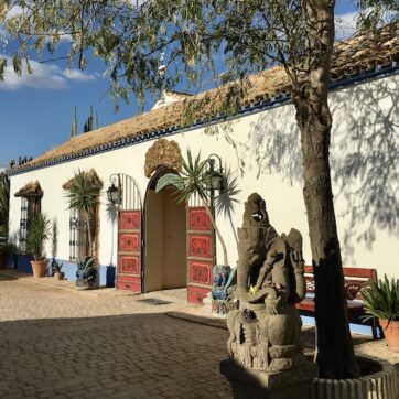 Die beste Anlage für deine Zukunft