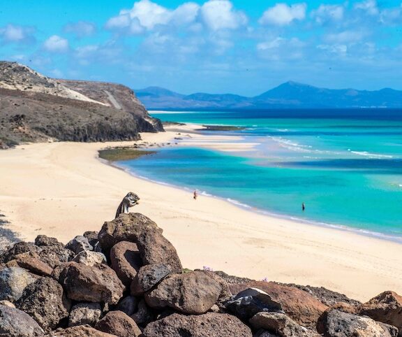 Sonne, Ruhe & Heilung: Yoga Retreat auf Fuerteventura