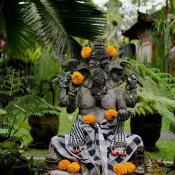 Die Reise zur Entschädigung nach Überbuchung