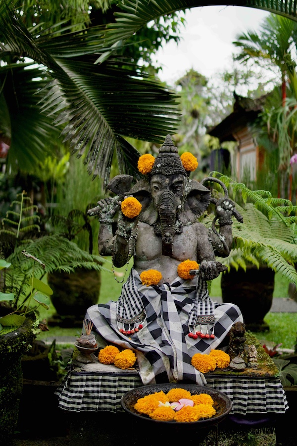 Meine erste Panchakarma Kur auf Bali